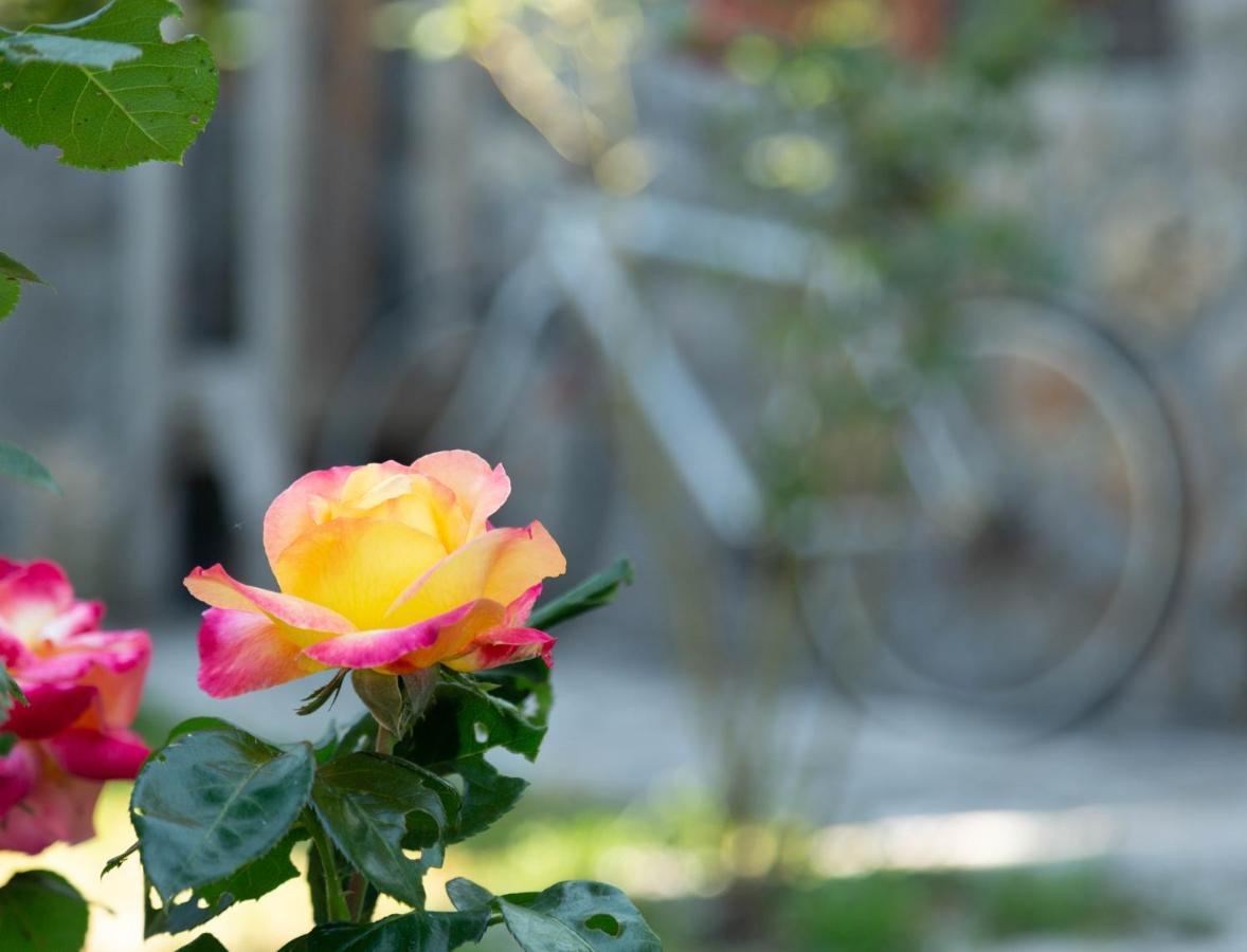 וירפזאר Plamenatz Studio Apartments מראה חיצוני תמונה